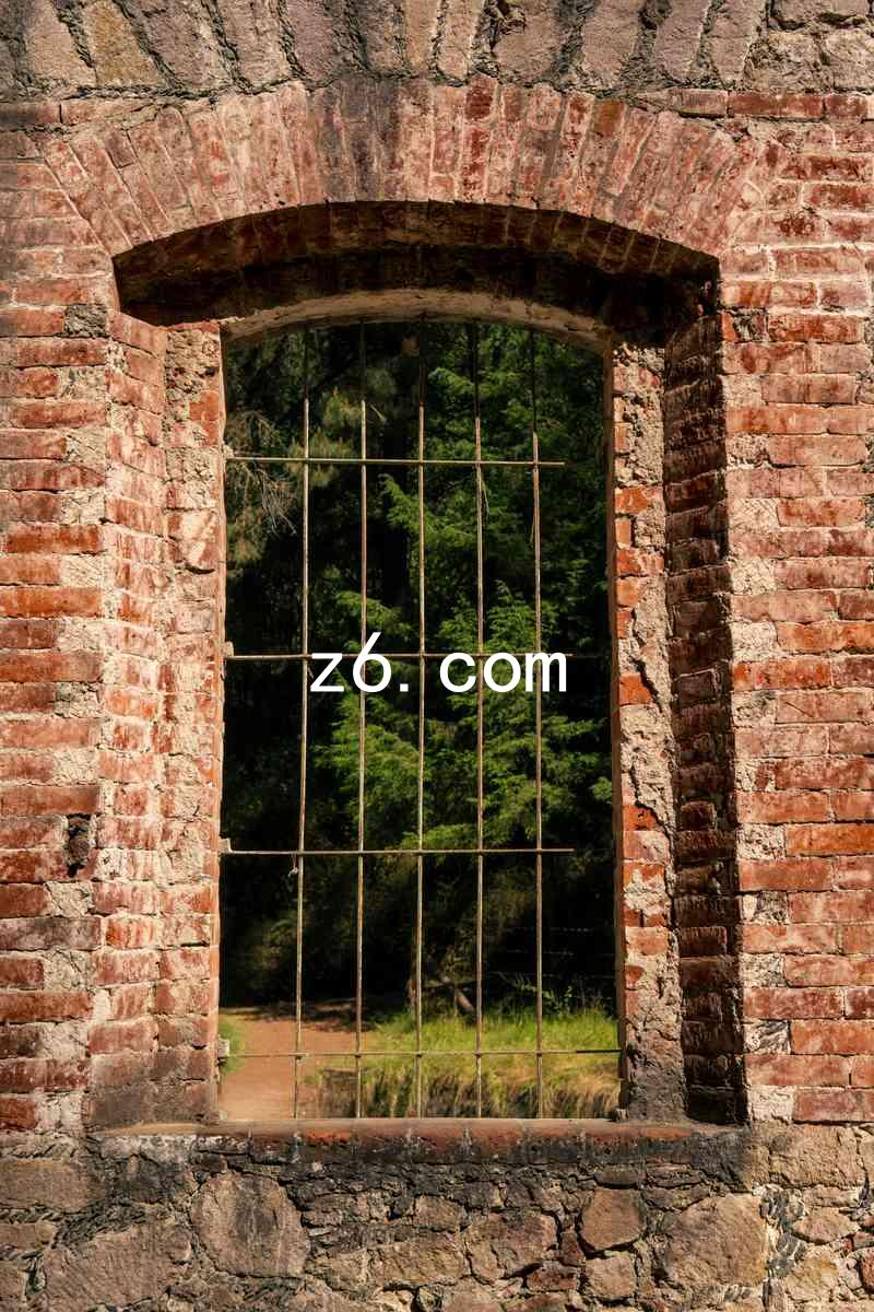 z6.com