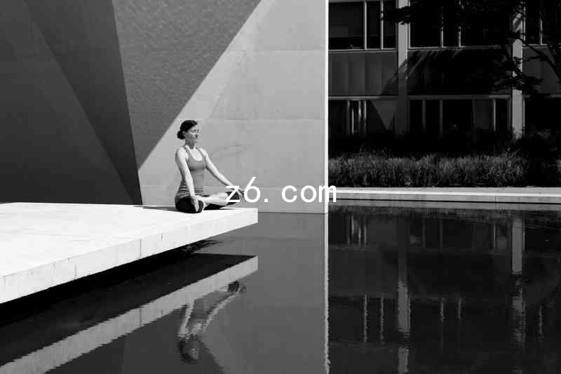 z6.com